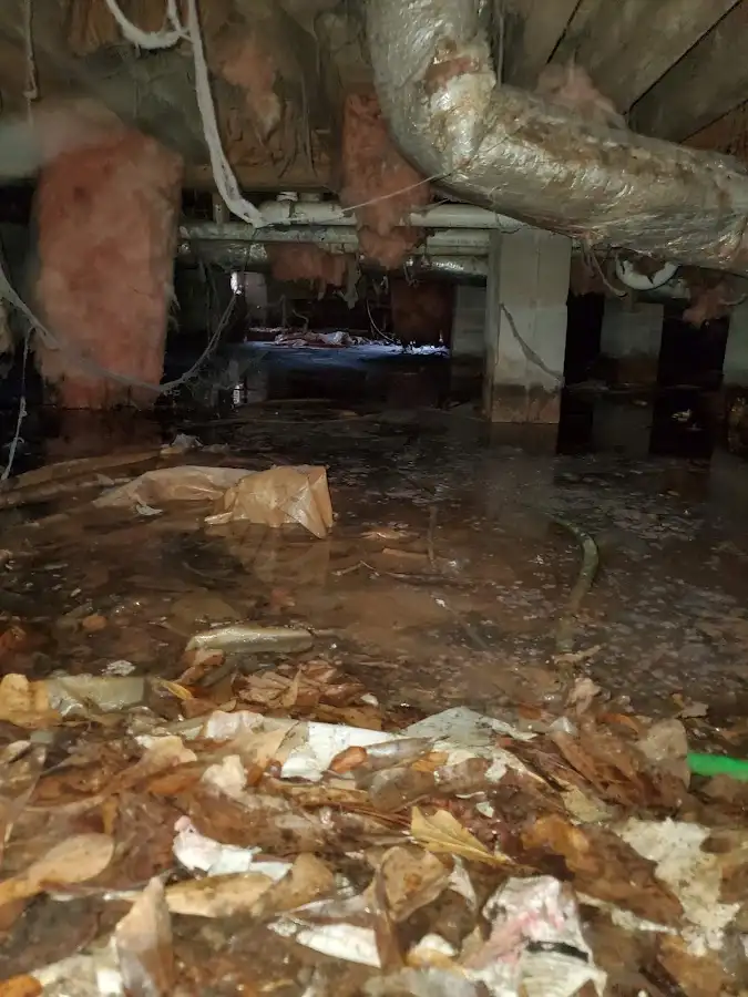 Crawl space flood assessment for Commercial Water Damage Restoration in Bogalusa